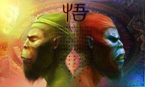 六耳猕猴吃瓜视频,揭秘神秘猴王的双重身份之谜