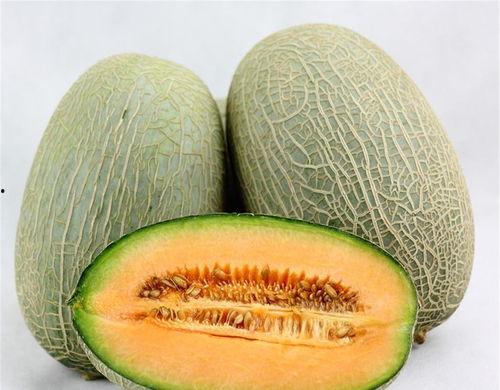 小蜗牛吃哈密瓜视频播放,甜蜜瞬间，萌动全网