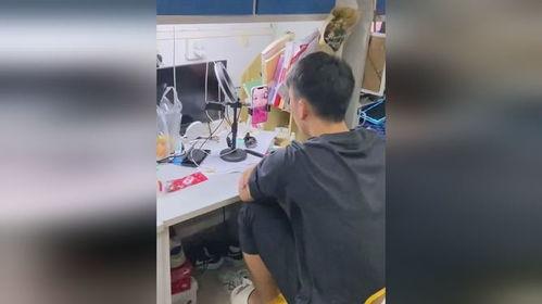 一群吃瓜女人视频大全,趣味横生的娱乐盛宴