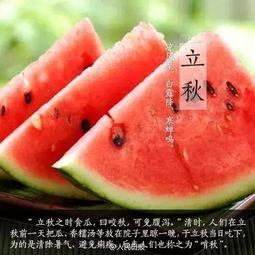 立秋吃烧瓜好吗视频大全,传统习俗与现代口味的完美融合