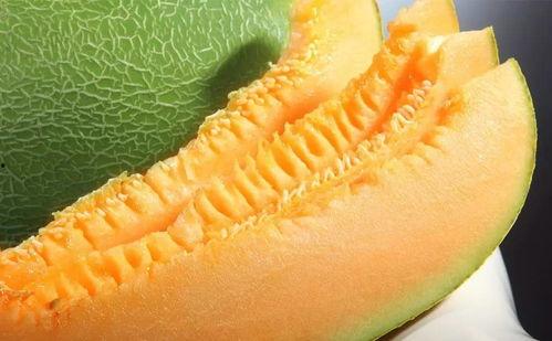 吃蜜瓜舞蹈音乐视频大全,音乐视频大全带你领略夏日风情